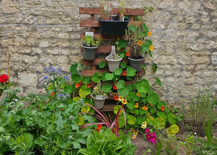 La Maison De Venus Bed & Breakfast Lucon