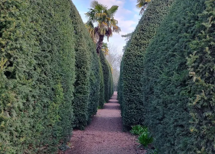 فندق مبيت وإفطار La Maison De Venus Luçon